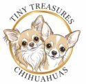 tinytreasureschihuahuas.com